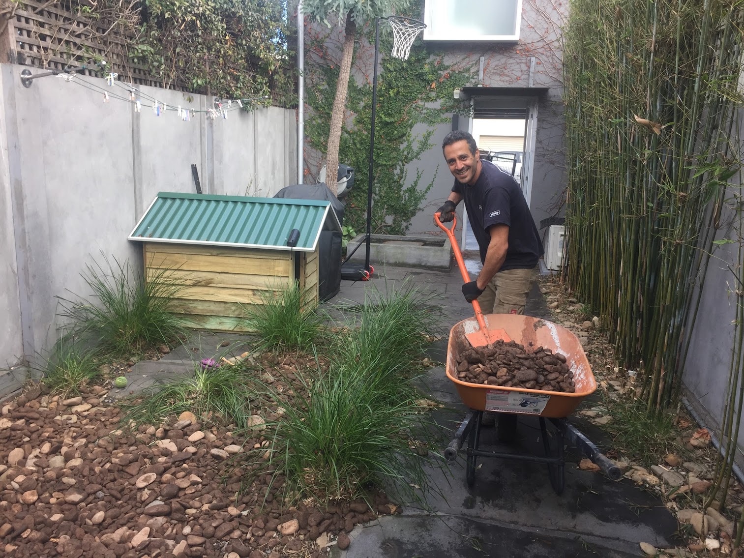 Owner working in a Melbourne backyard garden with a wheelbarrow
