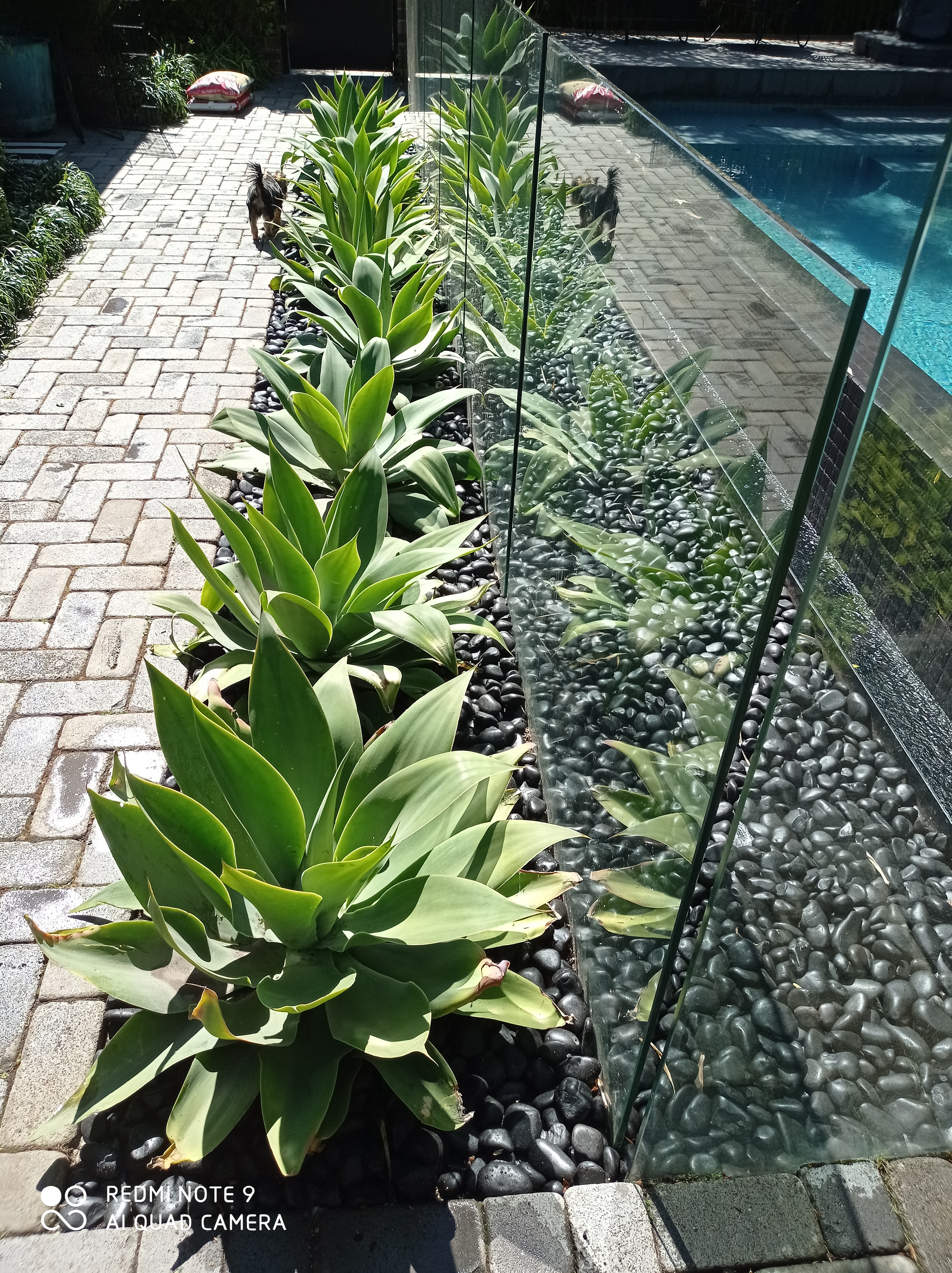 Planting & Garden Design
