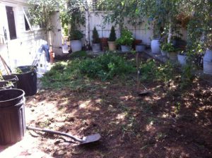 before_landscaping