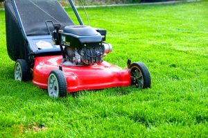 Push-Mower