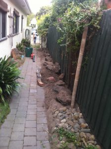 After Bamboo removed in Elwood