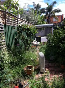 Garden Maintenance in South Melbourne